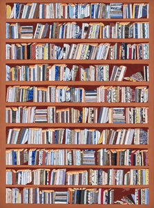 Dorsi di libri eclettici