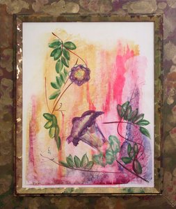 Campanula