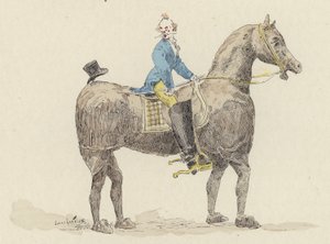 Clown su cavallo in costume