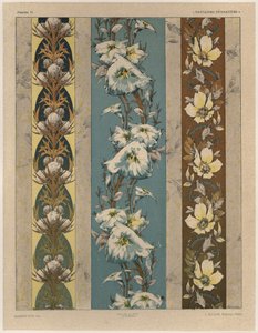 Fiori, tavola 18, illustrazione da 