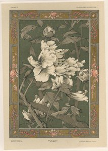 Fiori, tavola 31 da 