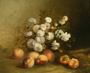 Fiori e albicocche da Jules Bidlingmeyer
