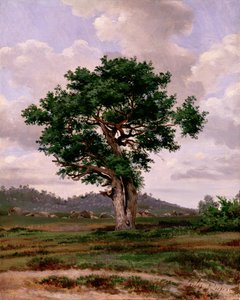 Le Rageur (il collerico)