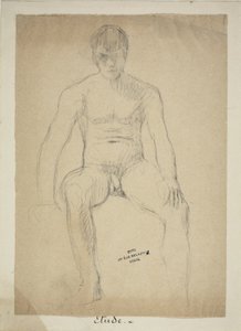 Nudo accademico seduto