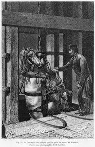 Cavallo calato nella miniera a Le Creusot, illustrazione da 