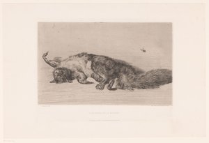 Scoiattolo morto e mosca da Jules Ferdinand Jacquemart