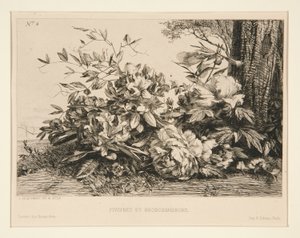 Peonie e Rododendri da Jules Ferdinand Jacquemart