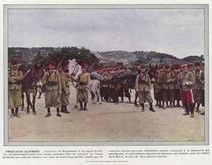 Tirailleurs algerini