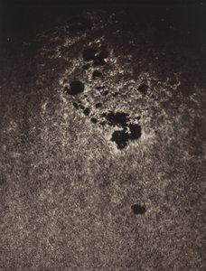 Senza titolo (Studio della superficie del sole), 1893 (foto) da Jules Janssen