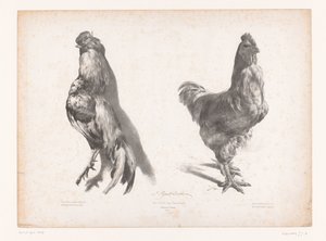Studio di un pollo morto e uno vivo da Jules Joseph Augustin Laurens