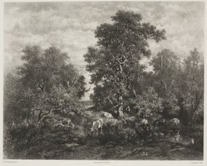 Lo stagno, dopo Théodore Rousseau (1812-67) da Jules Joseph Augustin Laurens