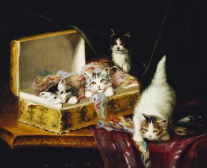 Nella Scatola degli Aghi da Jules Leroy