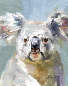 Lo sguardo dolce del koala da Julia Cheney
