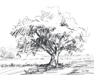Disegno rustico di un albero