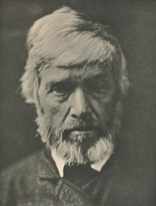 Carlyle da Julia Margaret Cameron