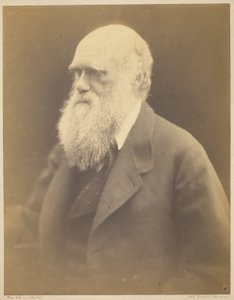Charles Darwin da Julia Margaret Cameron