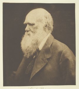 Charles Darwin da Julia Margaret Cameron