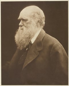Charles Darwin da Julia Margaret Cameron