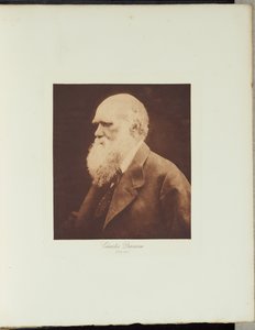  da Julia Margaret Cameron
