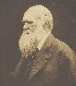 Charles Darwin da Julia Margaret Cameron