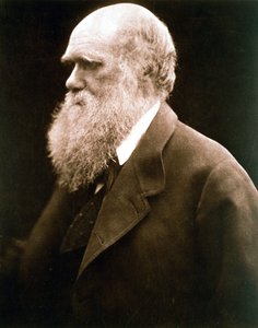 Charles Darwin, naturalista britannico da Julia Margaret Cameron