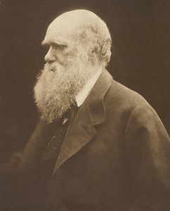 Charles Darwin, c. 1868, stampato 1875 da Julia Margaret Cameron