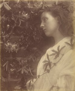 Maud è caduta una splendida lacrima dal fiore della passione al cancello da Julia Margaret Cameron