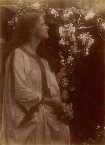 [Primavera] da Julia Margaret Cameron