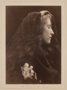  da Julia Margaret Cameron
