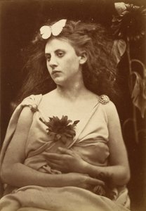Il Girasole da Julia Margaret Cameron