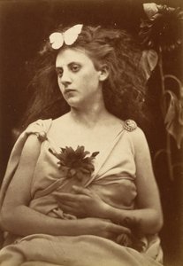 Il girasole da Julia Margaret Cameron