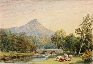 Sugarloaf Hill da Tynnahinch da Julia Swinburne