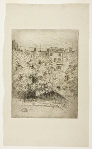 Il mio cortile