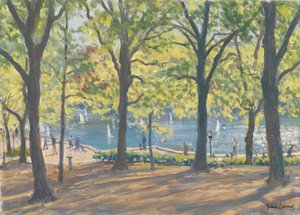 Central Park, New York da Julian Barrow