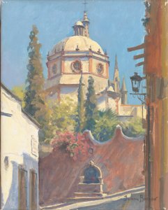 San Miguel Allende da Julian Barrow
