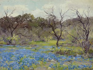 Inizio primavera—Bluebonnets e mesquite