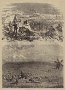 La guerra in Crimea