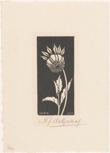 Dalia da Julie de Graag (signed by artist)