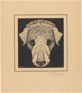 Testa di cane