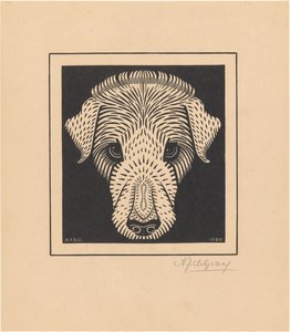 Testa di cane