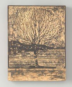Albero spoglio da Julie de Graag (signed by artist)