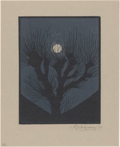 Notte di luna