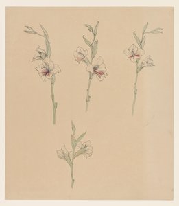 Studi di fiori da Julie de Graag
