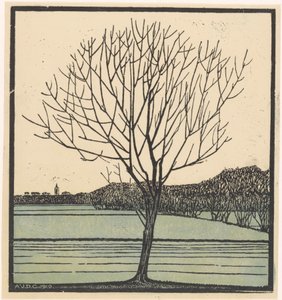 Albero spoglio da Julie de Graag