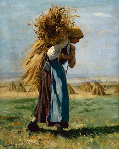 Nei campi da Julien Dupre