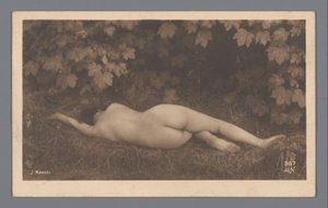 Nudo femminile visto di schiena, sdraiato sull