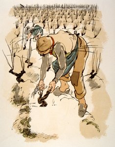 Illustrazione di vino umoristico 1946 da Julien Pavil
