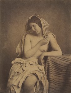 Studio dalla natura, c. 1853-1855