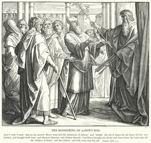 La fioritura del bastone di Aronne (incisione)