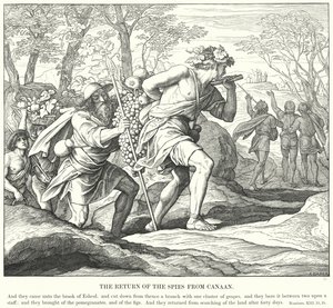 Il ritorno delle spie da Canaan (incisione)